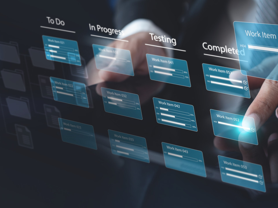 Portfolio Projekt-Management