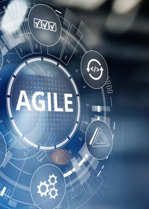 Portfolio Agile Methoden in der Software-Entwicklung